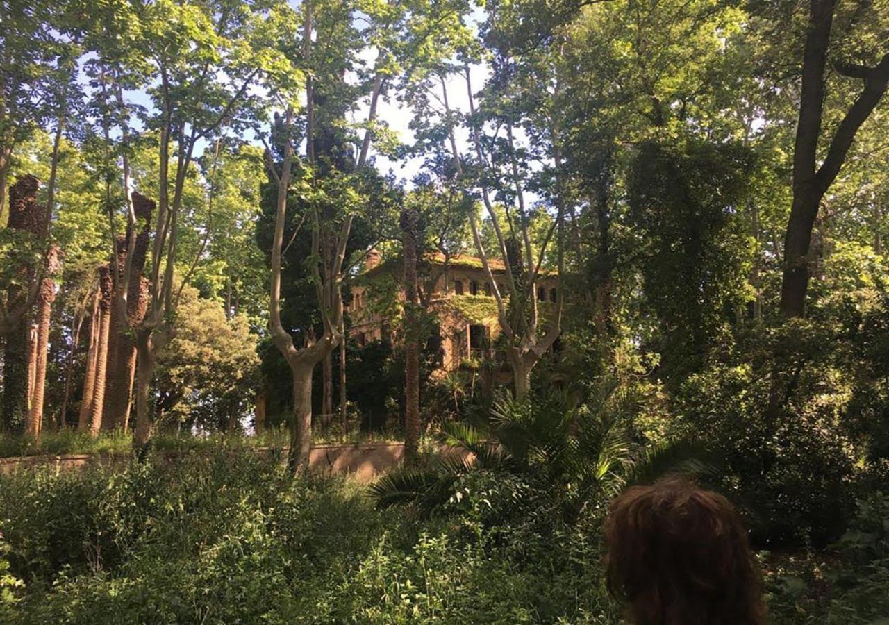 Can Codol De Fluvia - Casita Torroella de Fluvia Luaran gambar