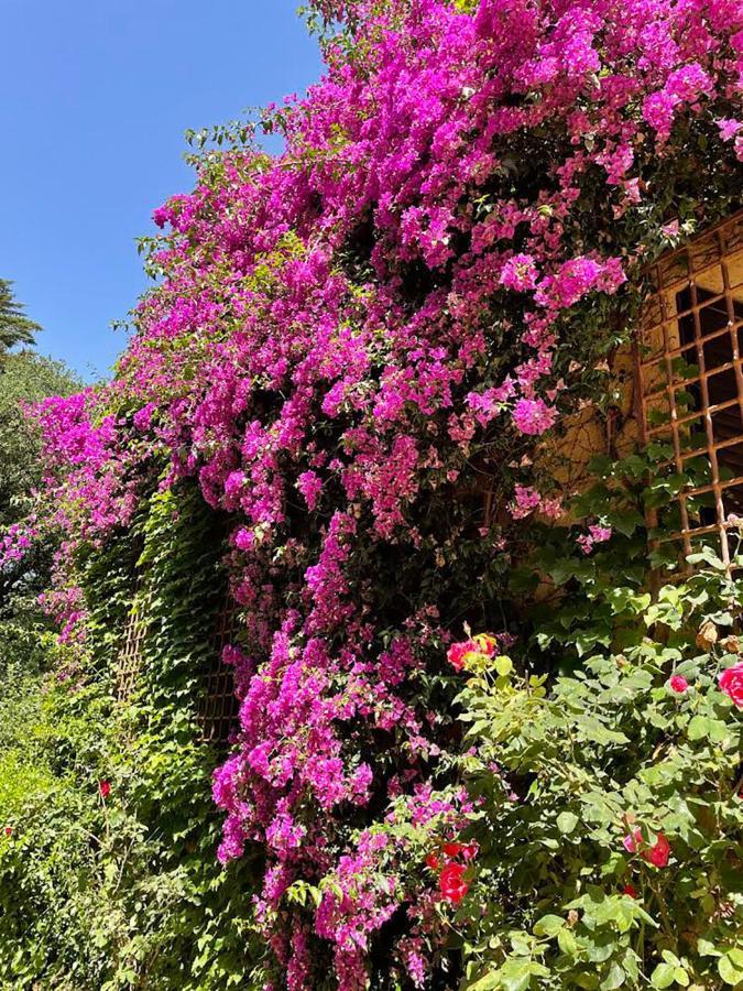 Can Codol De Fluvia - Casita Torroella de Fluvia Luaran gambar